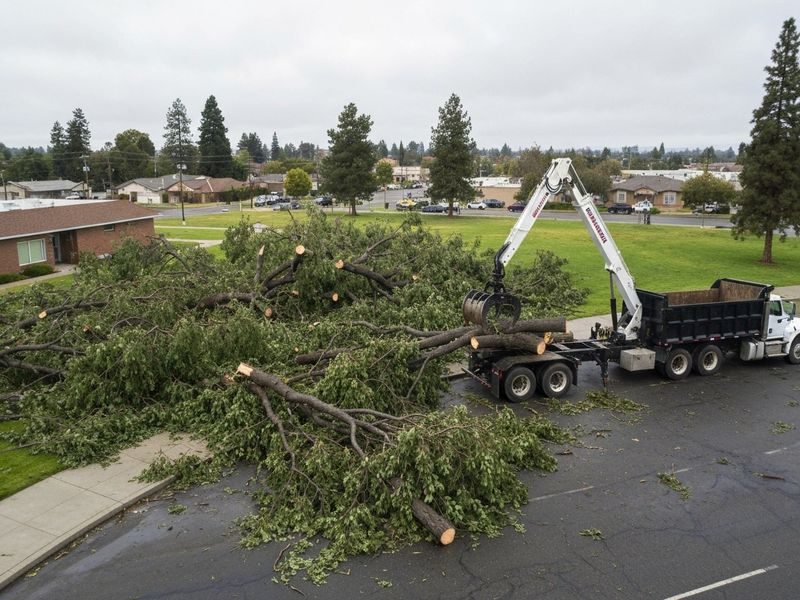 Multi Yard Scheduled Hauling Modesto Ca
